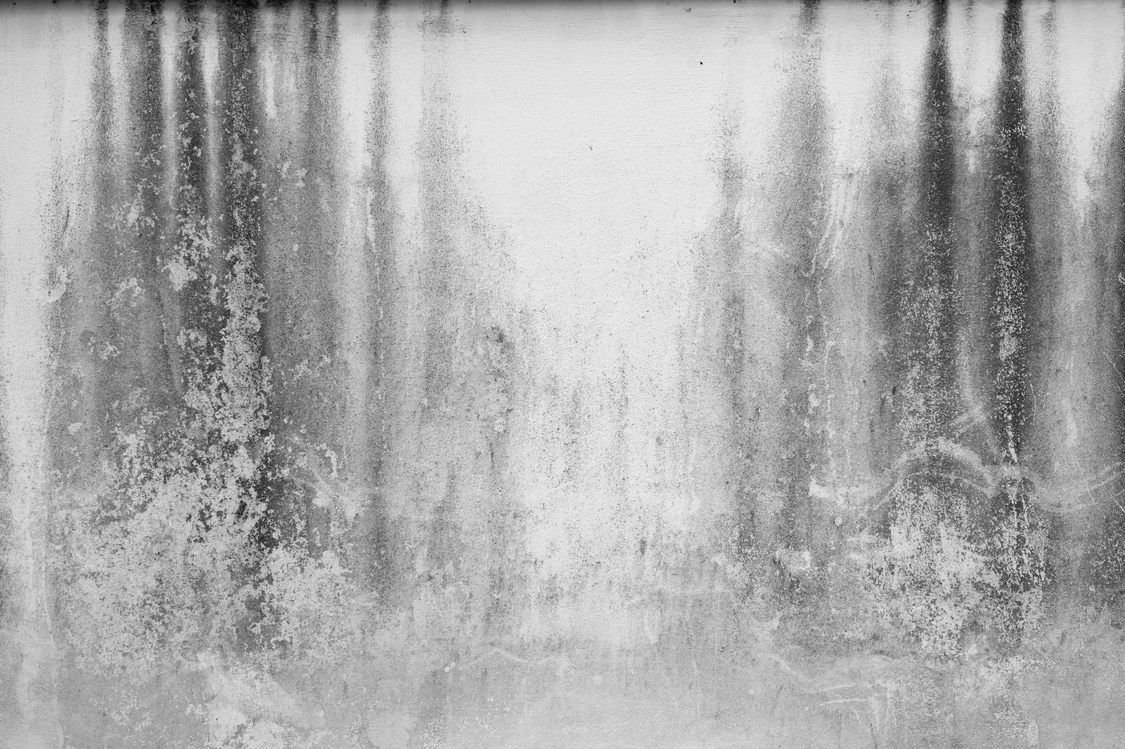 Dark mold streaks running down a white wall